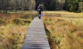 Randonnée Marche Orbey - Vallée des 5 lacs  - Photo 10