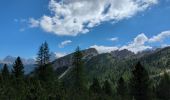 Excursión Senderismo Auronzo di Cadore - Vallon Popena & Guglia De Amicis - Photo 16