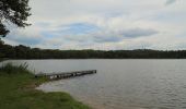 Tour Zu Fuß Märkische Heide - Rundwanderweg Groß Leuthener See - Photo 9