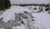 Trail Walking Theux - Bronromme sous la neige  - Photo 12