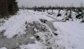 Percorso Marcia Theux - Bronromme sous la neige  - Photo 12