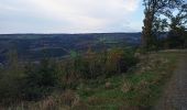 Trail Walking Stoumont - Le Roannay, le mont des Brumes, la fagne - Photo 1