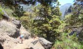 Tocht Te voet El Paso - Wikiloc - Caldera de taburiente Los Brecitos to Parking Barranco de las Angustias - Photo 12