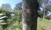 Tour Zu Fuß Calolziocorte - Sentiero 812: Lorentino (Calolziocorte) - Passo della Pertulena - Photo 6
