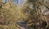 Trail Walking Lasne -  Maransart  Glabais - Photo 2