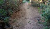 Trail Walking Bonifacio - tonnara - ermitage - Photo 10