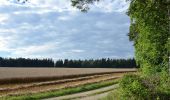 Percorso A piedi Gomadingen - Traufgang Wiesenrunde - Photo 6