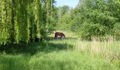 Trail On foot Jodoigne - #190000 - Souveraine Tienne Strichaux - Photo 15