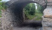 Tour Wandern Seyne - SEYNES LES ALPES Bas et haut Chardavon  , balade de la Rochette , ravin des Ganiayes , les Côtes n - Photo 12