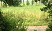 Trail Walking Silly - Silly « Vers St-Marcoult » - Photo 17