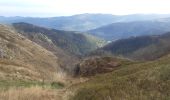 Tour Wandern Woll - mon sentier des névés : hohneck . kastelbergwasen . firstmiss . breitsouze . Le hohneck  - Photo 16