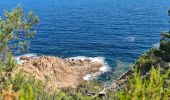 Tocht Stappen Ramatuelle - bonne terrasse Camarat - Photo 8