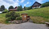 Trail Walking Ottenhöfen im Schwarzwald - Karlsruher Grat  - Photo 11