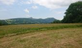 Randonnée Marche La Bourboule - Charlannes par Fohet retour sur parc fenestre par descente sous ancien funiculaire 2019-07-02 - Photo 10