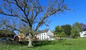 Randonnée Marche Chaumont-Gistoux - #200420 - Chaumont-Gistoux, Ronvaux, Pré Delcourt, Babaures*** - Photo 5