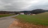 Tour Zu Fuß Buchen (Odenwald) - Rundwanderweg Bödigheim 1: Glasenberg-Weg - Photo 6