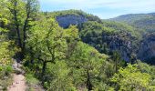 Randonnée Marche Monieux - gorge de la Nesque via GR9 - Photo 16