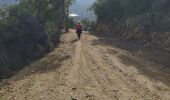 Trail Walking Montauroux - St cassien / friaoud - Photo 2