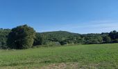 Randonnée Marche Le Teil - Le Teil Tour du Mont Rozier 11km - Photo 2