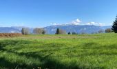 Trail Walking Miribel-les-Échelles - Circuit panoramique au départ de Miribelle - Photo 11