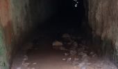 Trail Walking Montmeyan - les basses gorges de quinson - Photo 14