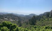 Tour Wandern Le Rove - Fort de Niollon et nord viaduc de La Vesse. - Photo 12