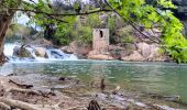 Trail Walking Carcès - SityTrail - Carces - Photo 15