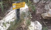 Trail Walking Ollioules - Destel azur  - Photo 10