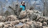 Trail Walking La Tronche - Rachat Jonquilles  - Photo 1