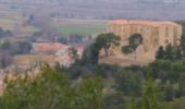 Randonnée Marche Meyrargues - Meyrargues le pas de l'étroit  - Photo 4