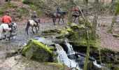 Trail Horseback riding Theux - Ninglinspo 2024 - Photo 2