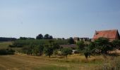 Tour Zu Fuß Roth - Weinberg Rednitztal - Photo 8