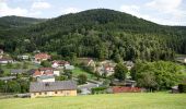 Tour Zu Fuß Gemeinde Bernstein - Speckkammerl Rundwanderweg (Bernstein - Stuben) - Photo 5