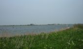 Tour Zu Fuß Hoeksche Waard - Gele wandelroute - Photo 6