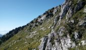 Excursión Senderismo Saint-Pierre-d'Entremont - col cucheron grande Som_col de Bevinant_Col de fret - Photo 10