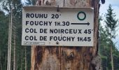 Trail Walking Rombach-le-Franc - Col de Schlingoutte - Photo 8