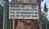 Randonnée Marche Rombach-le-Franc - Col de Schlingoutte - Photo 8