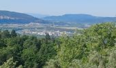 Trail Walking L'Escale - L ESCALE . LES BALCONS DE LA DURANCE . O - Photo 3