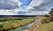 Tour Zu Fuß Hessigheim - Neckarhöhen - Photo 1