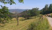 Trail Walking Montfaucon - Montfaucon : son château, ses forts - Photo 8