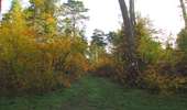 Randonnée Marche Saint-Jean-aux-Bois - en forêt de Compiègne_19_le Puits d'Antin_les Mares St-Louis_La Muette - Photo 19