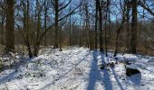 Trail Walking Péruwelz - Peruwelz 18 km - Photo 9