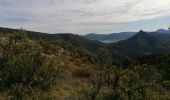 Trail Walking Buis-les-Baronnies - Malpertuis - Milmandre - Ubrieux 04.08.2021 - Photo 5