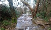 Tour Wandern Montjoyer - Valaurie Aiguebelle 20km - Photo 3