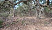 Trail Walking Roquebrune-sur-Argens - La Flûte  - Photo 3