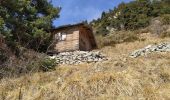 Tour Wandern Roquebillière - Abri berger 1512m après Granges de Pale - Photo 1