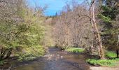 Randonnée Marche Daverdisse - Gembes (le long de l'Our et de la Lesse) - Photo 9