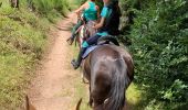 Trail Horseback riding Montsauche-les-Settons - 1er jour lac des settons  - Photo 4