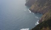 Tour Wandern Machico - Madère : du tunnel de Caniçal à Porto da Cruz - aller en bus - Photo 20