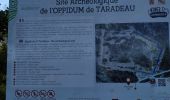 Randonnée Marche Taradeau - taradeau l'oppidum - Photo 9
